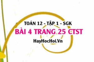 Bài 4 trang 25 Toán 12 tập 1 Chân trời sáng tạo